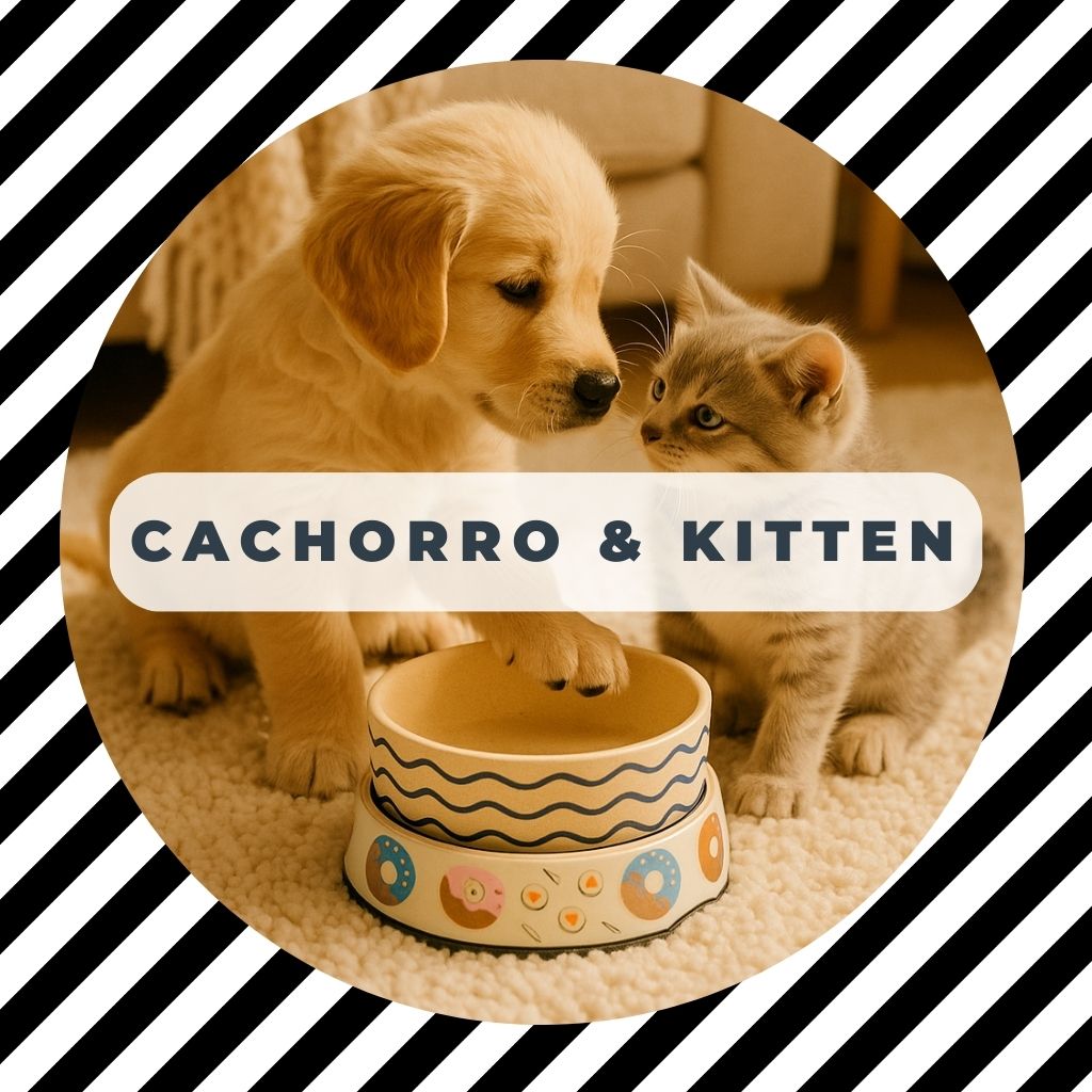 Cachorro y Kitten